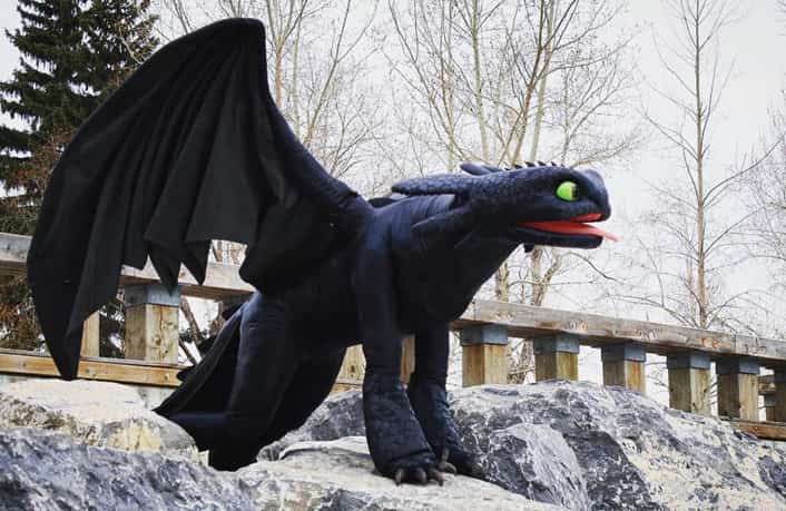 Toothless Dragon Costume